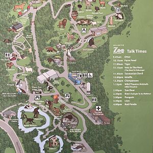 Zoo Map - 2015