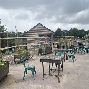 Construction Work Near Lemur Walkthrough (21/09/23)