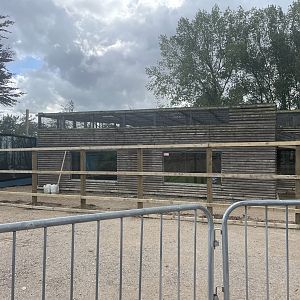 Construction Work Near Lemur Walkthrough (21/09/23)