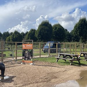 Construction Work Near Lemur Walkthrough (21/09/23)