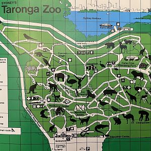 Zoo Map - 1983