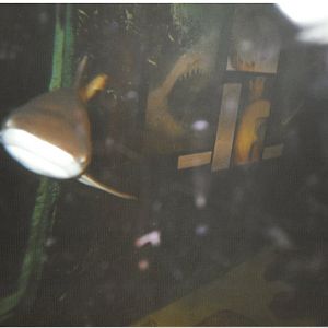 Poole Serpentarium - scanned photo mid 90's