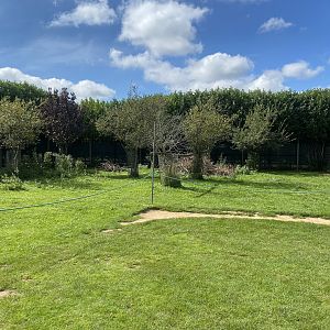 Red-necked wallaby Walkthrough 140923