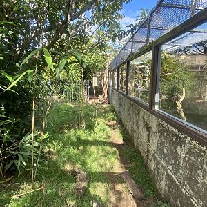 Mixed parrot aviary 140923