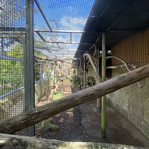 Mixed parrot aviary 140923