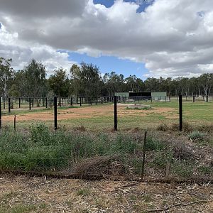 White Rhino Paddocks