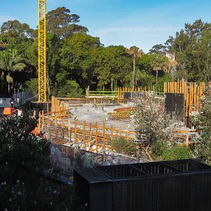 New Reptile House under construction