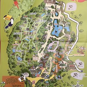 Zoo Map - 2011