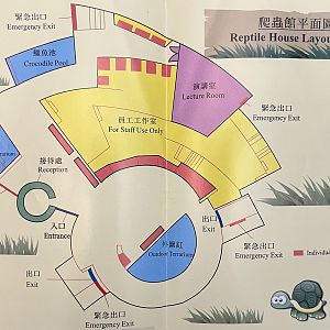 Tuen Mun Park - Map of Reptile House (undated)