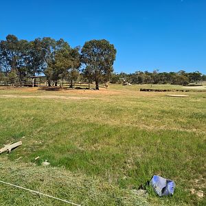 Future Elephant Enclosure