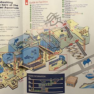 Aquarium Map - undated