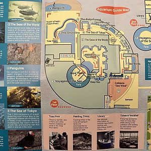 Aquarium Map - 2017