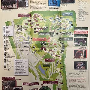 Zoo Map - 2003