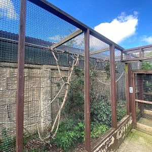 Part of enclosure for Red titi and Red-bellied tamarin 140923