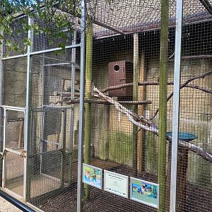 Parrot Aviary 140923