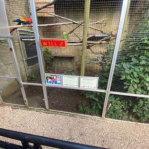 Parrot Aviary 140923