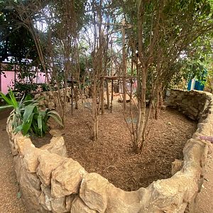 African spurred tortoise enclosure 140923