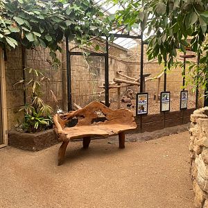 View towards Mixed aviary 140923