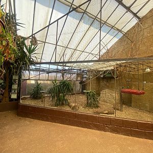 Goeldi’s monkey, White-faced saki and Linnaeus’ two-toed sloth enclosure 140923