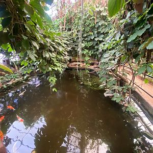 Pool in indoor area 140923