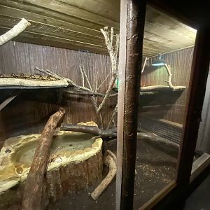 Boa constrictor enclosure 140923