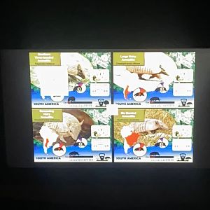 Armadillo signage 140923