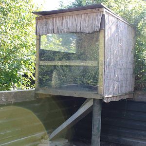 Small Meerkat-shelter