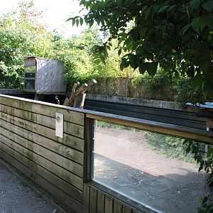 Meerkat enclosure