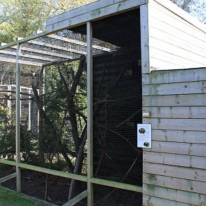 Enclosure Hudson's squirrel