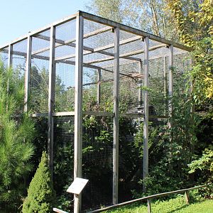 Enclosure Prevost squirrel