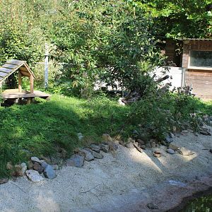 Enclosure Asian small-clawed otter