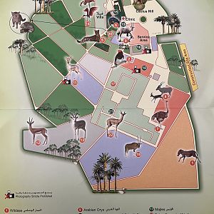 Zoo Map - 2004