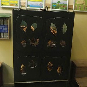 Invertebrate terrariums, 2023-05-31