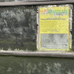 Lubetkin elephant house poster, ZSL Whipsnade, UK