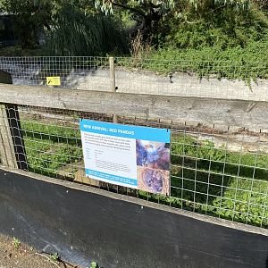 Red panda cub signage, ZSL Whipsnade, UK