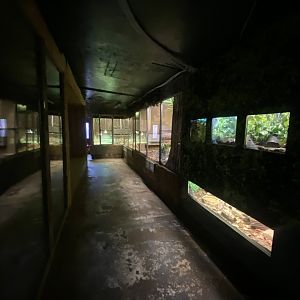 View of terrariums 140923