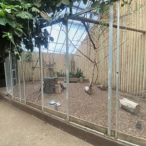 Mixed aviary 140923