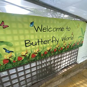 Butterfly World IOW - Entrance area 140923