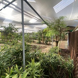 Butterfly World IOW 140923