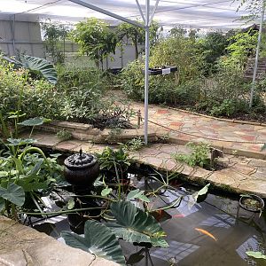 Butterfly World IOW 140923