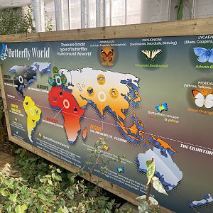 Butterfly World IOW - Signage example 140923