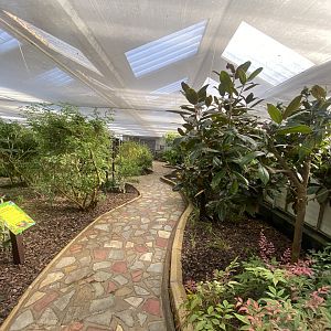 Butterfly World IOW 140923