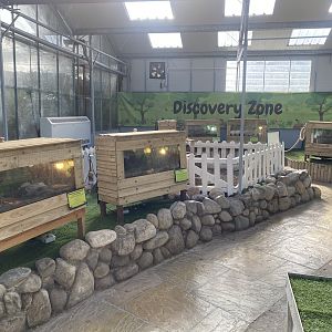 Butterfly World IOW - Discovwry Zone 140923