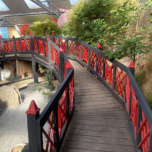 Butterfly World IOW - Japanese Garden 140923