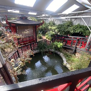 Butterfly World IOW - Japanese Garden 140923
