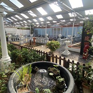 Butterfly World IOW - Italian Garden 140923