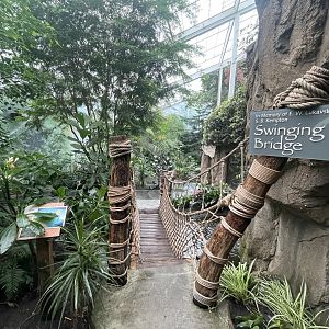 Discovery Center Rainforest