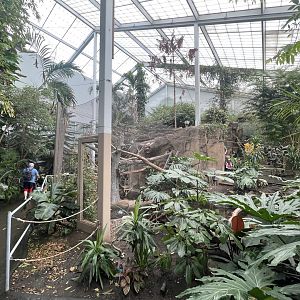 Discovery Center Rainforest