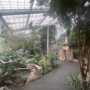 Discovery Center Rainforest