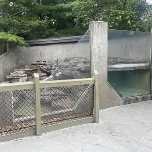 North American River Otter Exhibit
